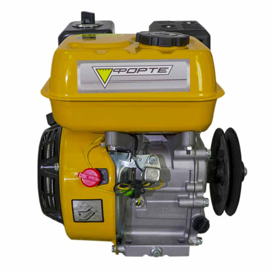 Двигун бензиновий Forte F210G